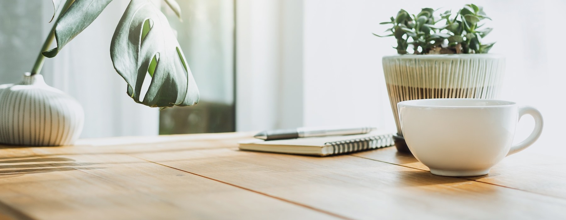 a desk with a plant coffee cup and note pad on it