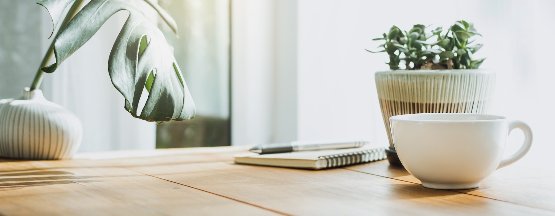 a desk with a plant coffee cup and note pad on it