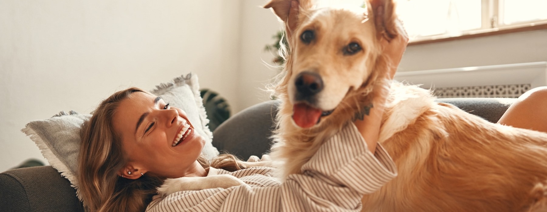 a person laying down on a couch with a dog